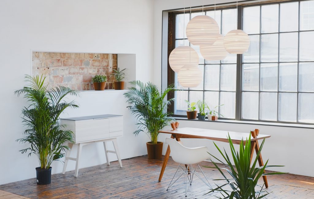 Graypants – Residential Interior Scraplight